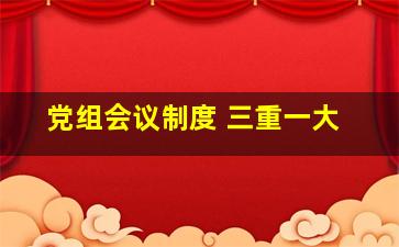 党组会议制度 三重一大